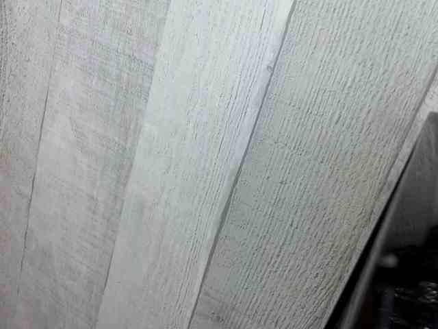 Rainie webcam