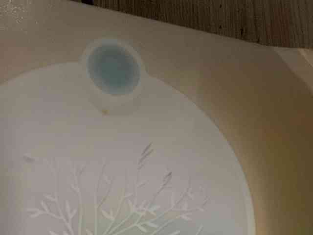 Rainie webcam