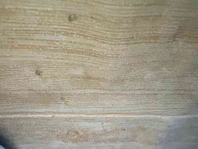 Rainie webcam