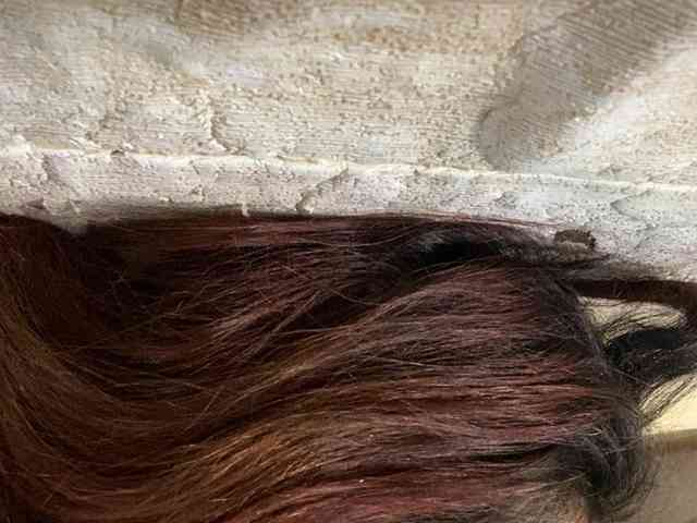 Rainie webcam