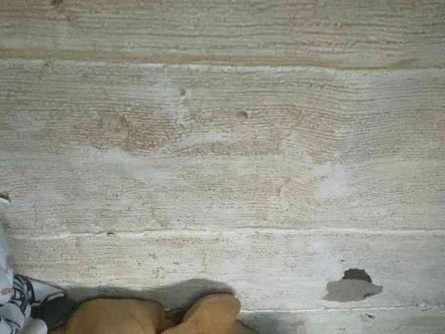 Rainie webcam