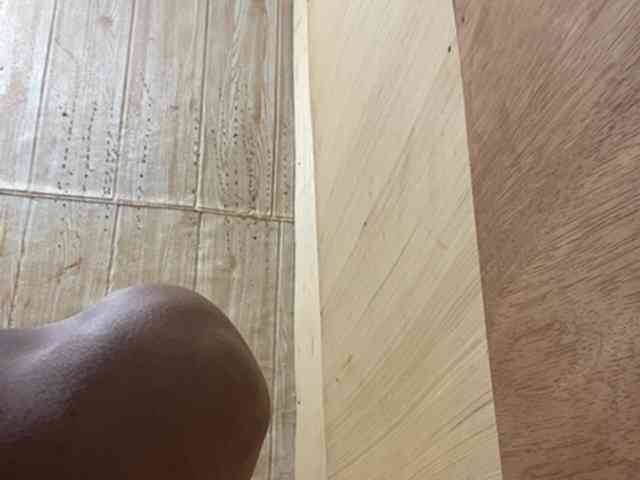 Rainie webcam