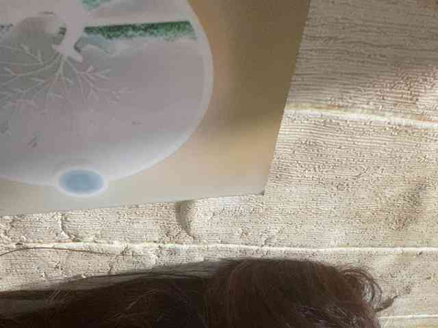 Rainie webcam