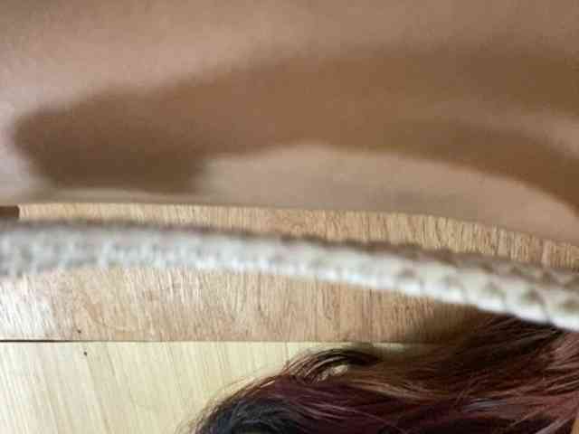 Rainie webcam