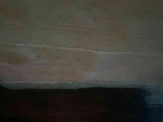 Rainie webcam
