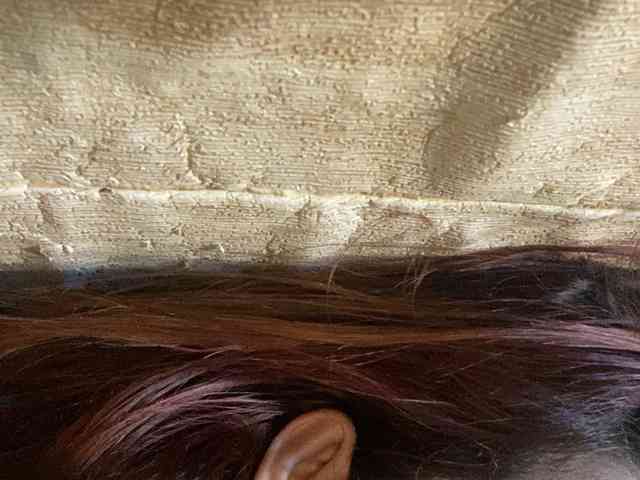 Rainie webcam
