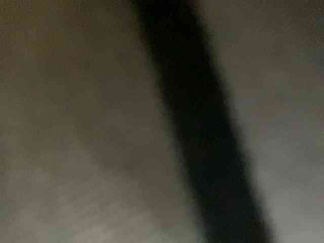 Rainie webcam