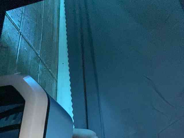 Rainie webcam