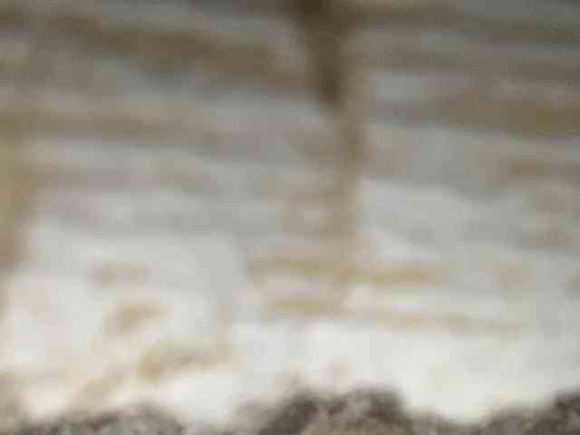 Rainie webcam