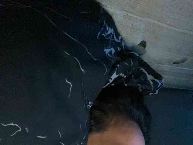Rainie webcam