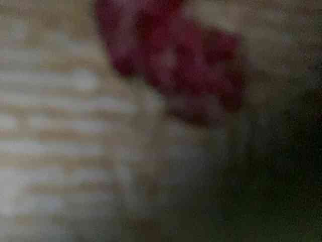 Rainie webcam