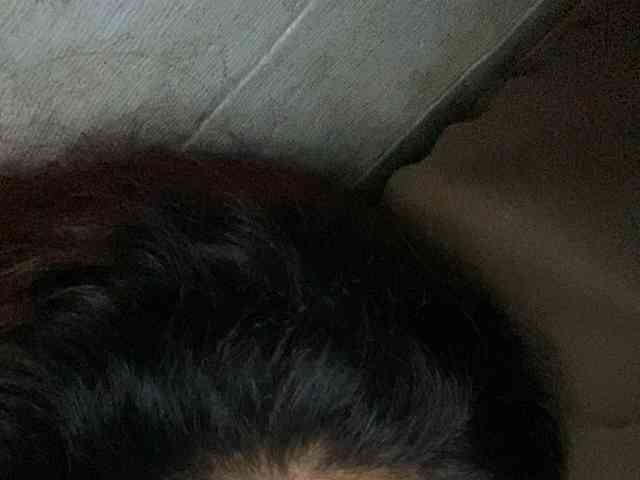 Rainie