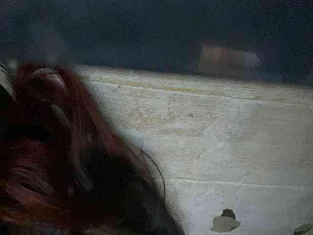 Rainie webcam