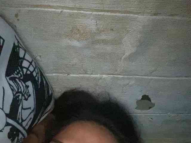 Rainie webcam