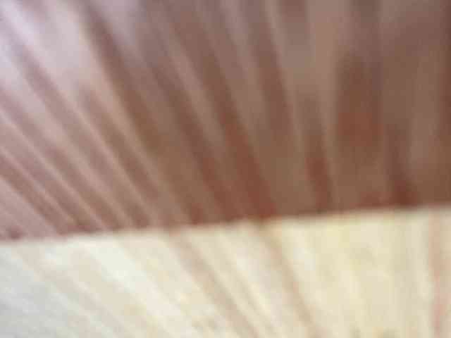 Rainie