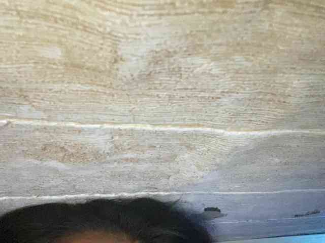 Rainie webcam