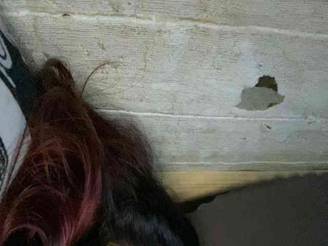 Rainie webcam