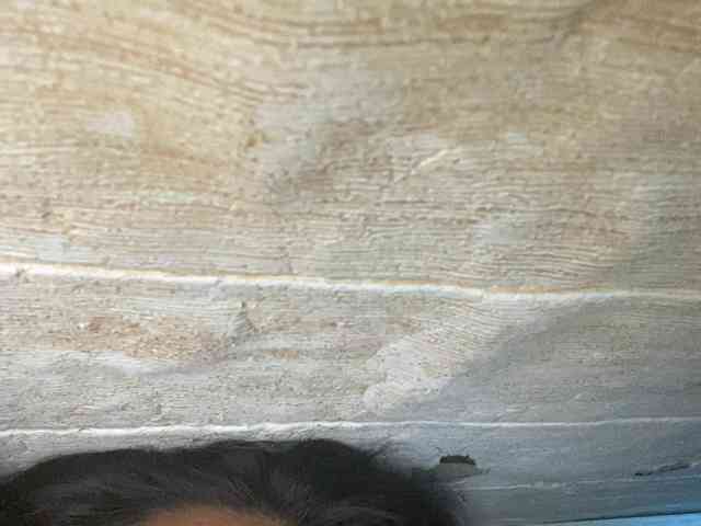 Rainie webcam