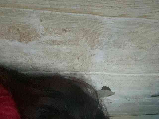 Rainie webcam