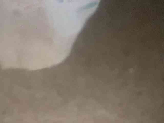 Rainie webcam