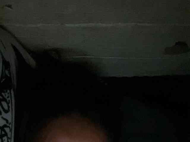 Rainie webcam