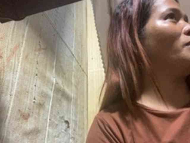 Rainie webcam