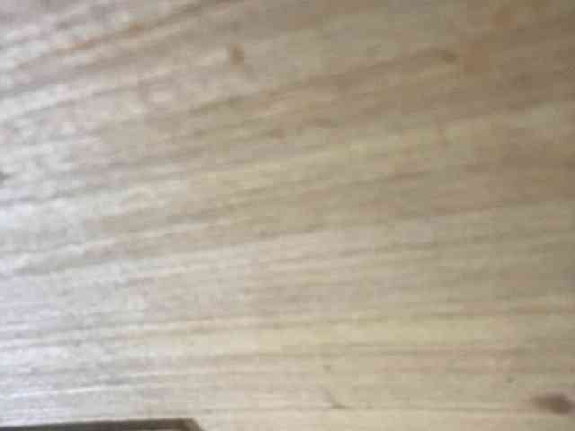 Rainie webcam