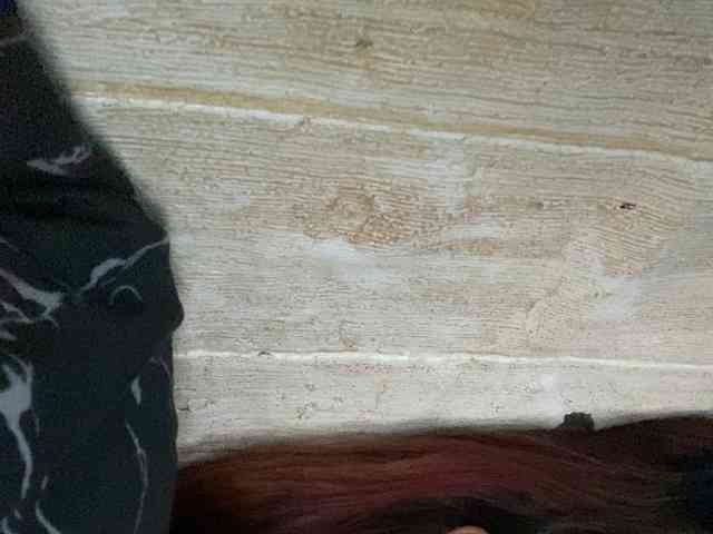 Rainie