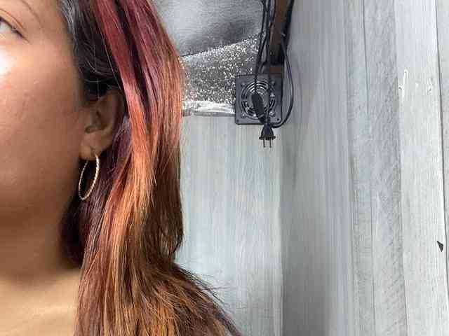 Rainie webcam