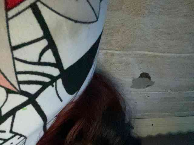 Rainie webcam