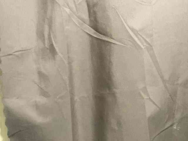 Rainie