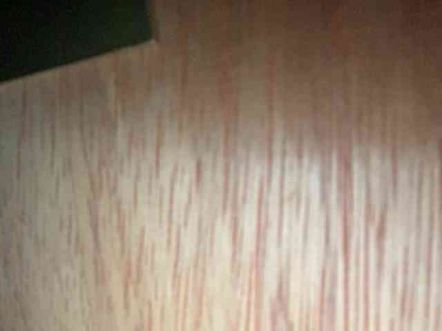 Rainie webcam