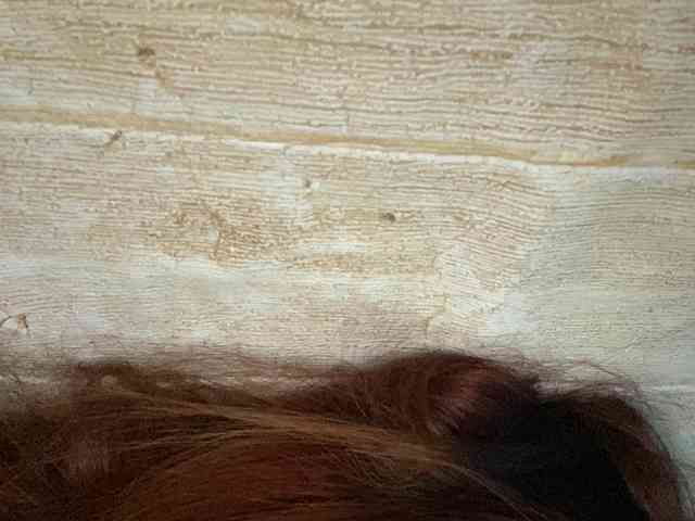 Rainie webcam