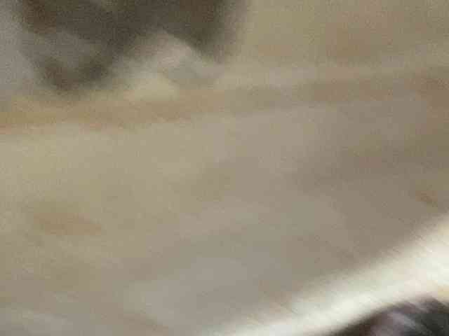 Rainie
