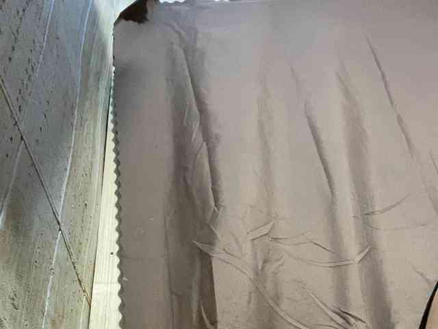 Rainie webcam