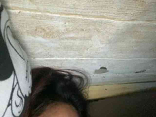 Rainie webcam