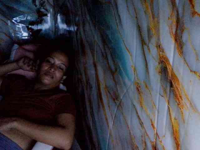 rasberrykat webcam