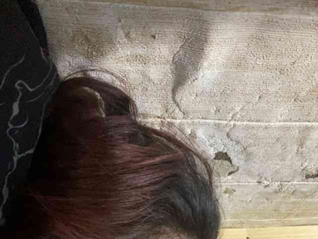 Rainie webcam