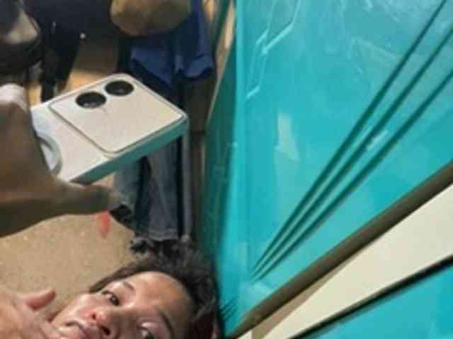 Rainie webcam