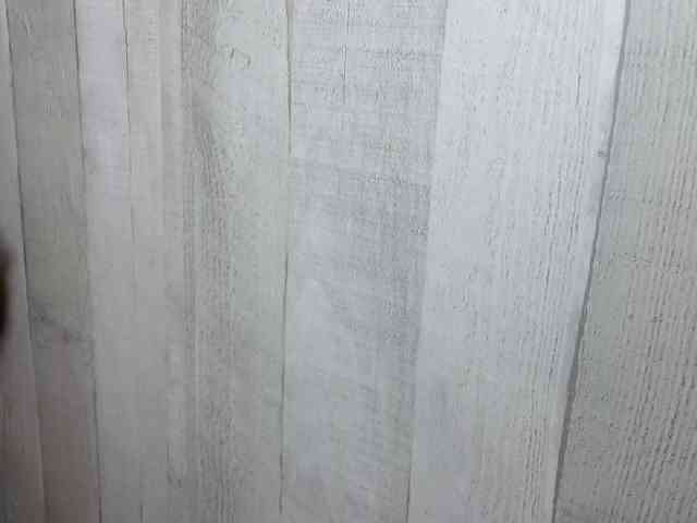 Rainie webcam