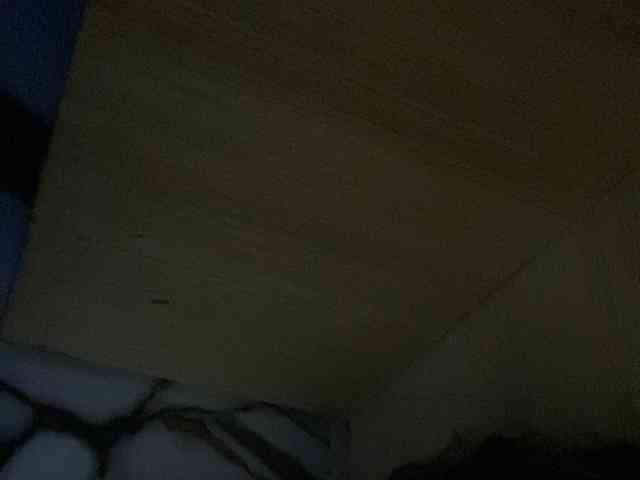 Rainie webcam