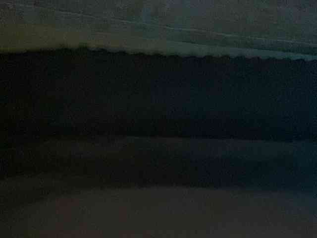 Rainie webcam