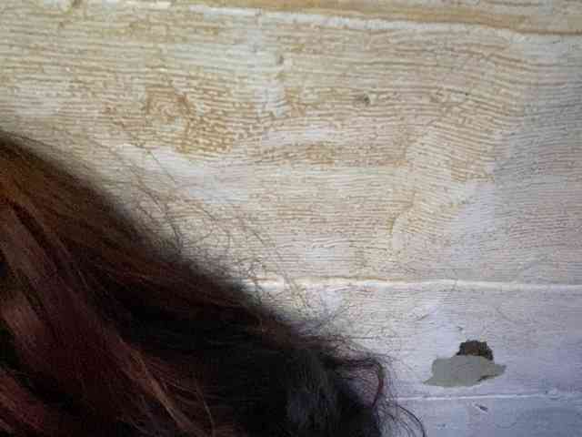 Rainie webcam