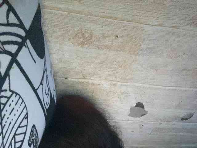 Rainie webcam