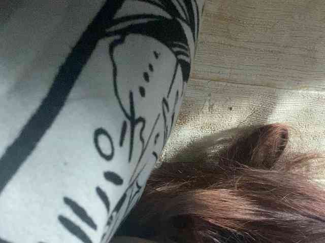Rainie webcam