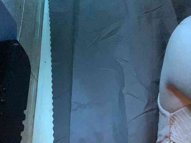 Rainie webcam