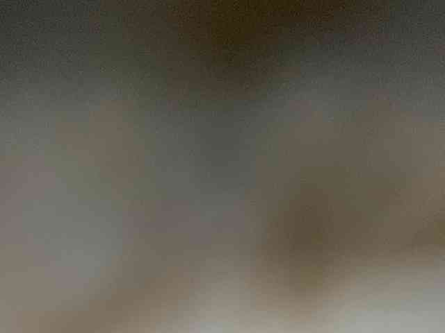 Rainie webcam