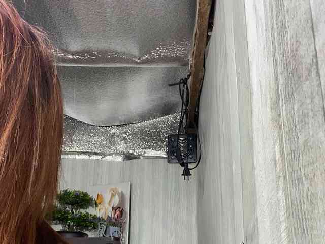 Rainie webcam