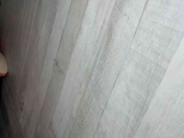 Rainie webcam
