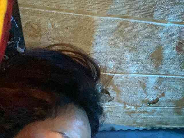 Rainie webcam